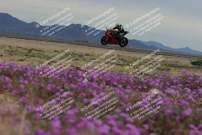 media/Jan-14-2023-SoCal Trackdays (Sat) [[497694156f]]/Turn 14 Exit Bloomig (145pm)/